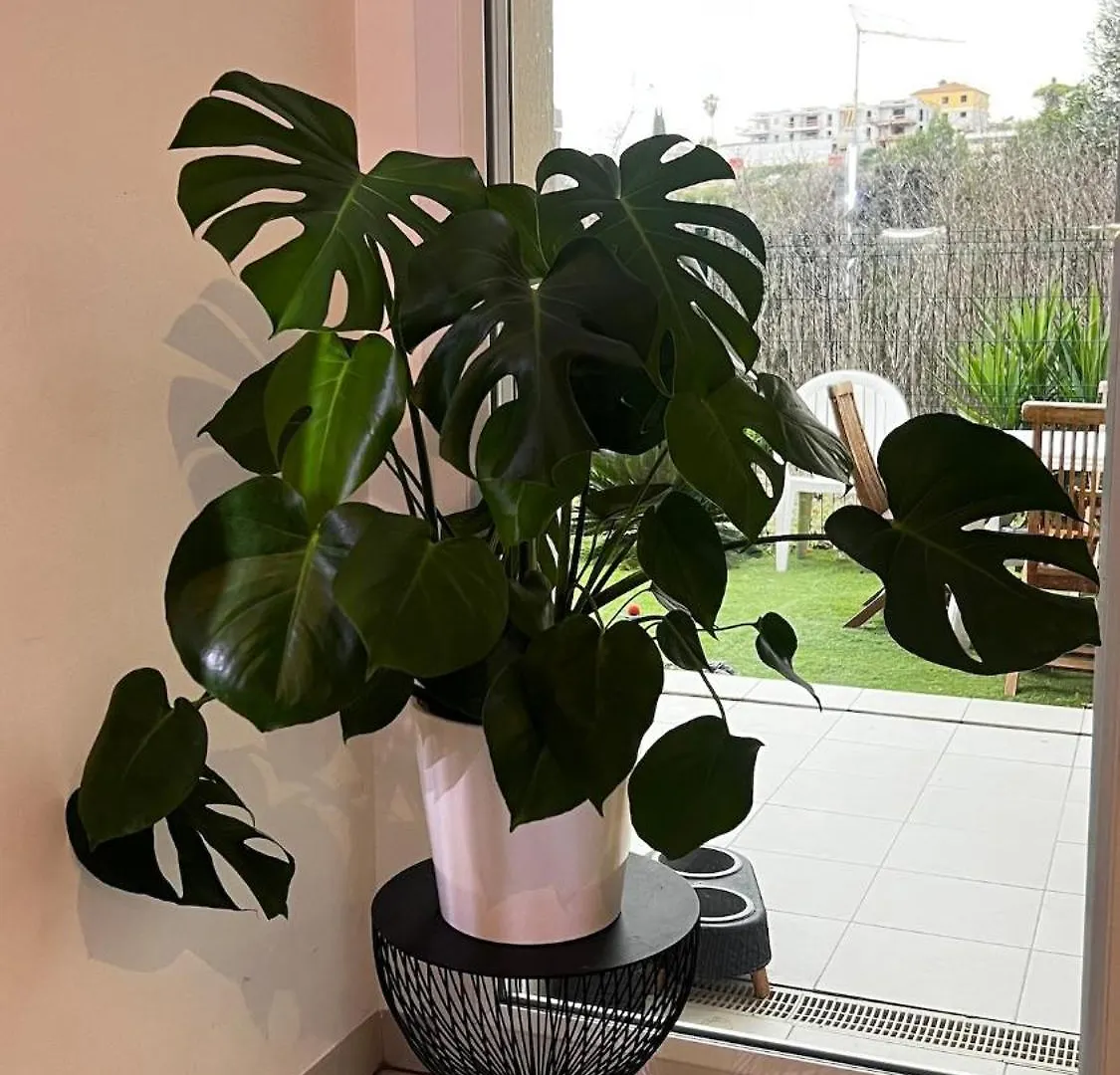 Sea View Apartment 2 Bedrooms Saint-Laurent-du-Var
